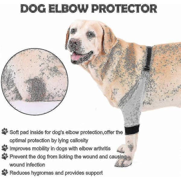 Dog Elbow Protector Adjustable Front Leg Sleeve Pet Surgery Injury Recovery Protective Support 1 Pair M M
