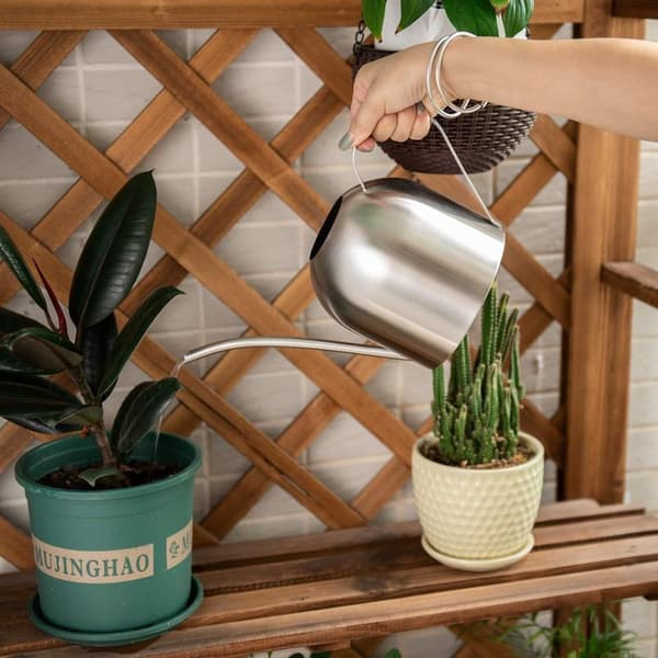 Vandkande i børstet rustfrit stål, moderne stil, lille størrelse til planter