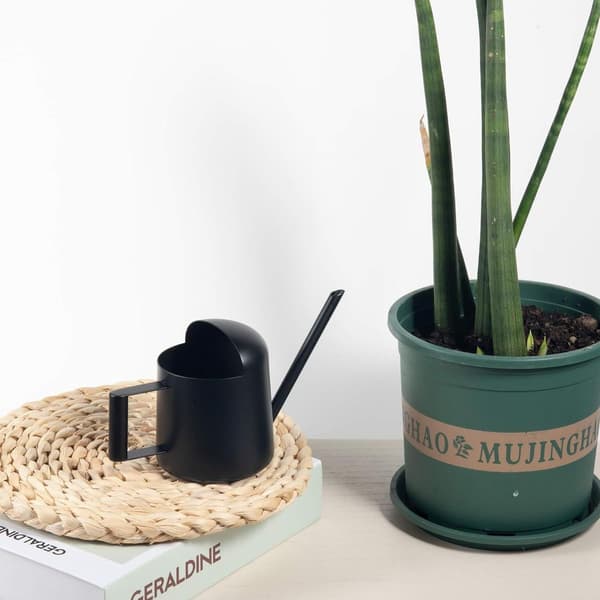 Vandkande i rustfrit stål 300 ml med lang hals til planter