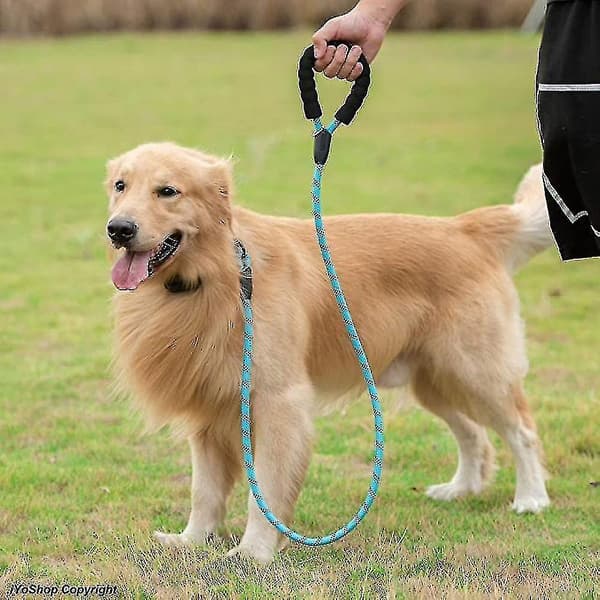 Dog toy with comfortable padded handle and highly reflective threads (blue)