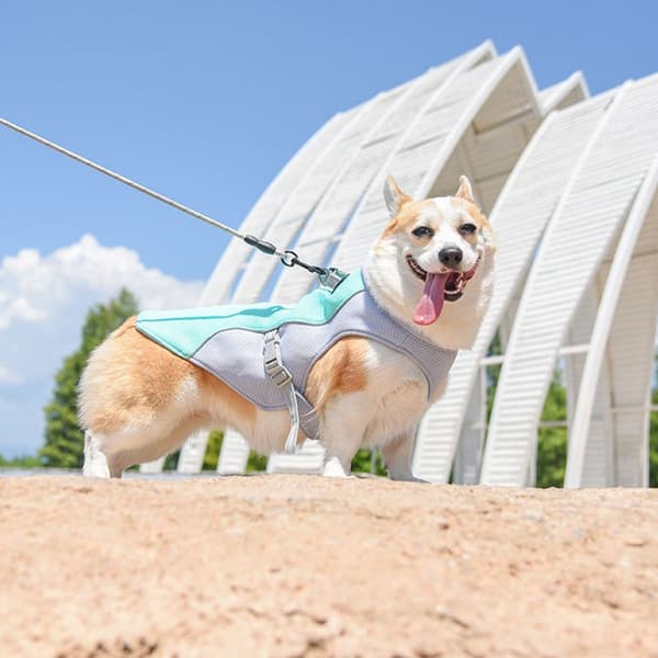 Kølevest til hund, åndbar mesh hundejakke, kølig og behagelig sommer KLB