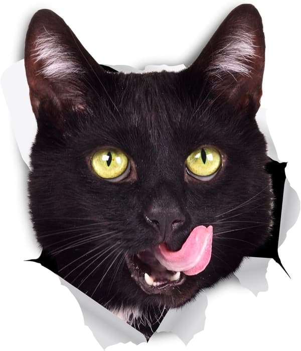 3D Cat Wall Decals 2-pack, Black Hungry Cat Stickers for Refrigerator & Car-FX-