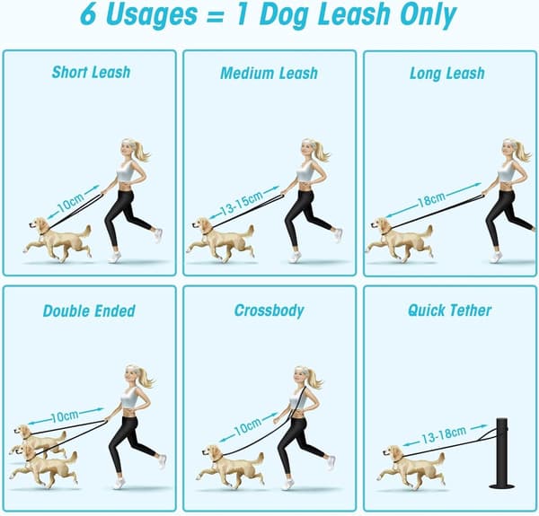 Handsfree Adjustable Dog Leash, 243 cm Double Handle Nylon Training Leash with Strong Clip for Walking, Running, Hiking, Black
