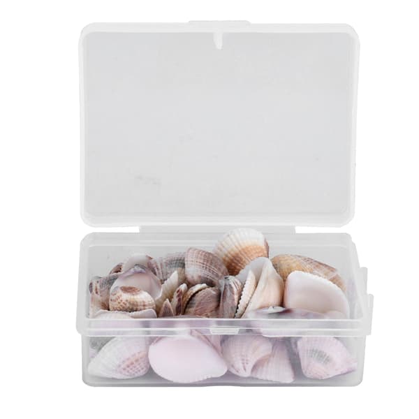 DIY Crafts Natural Shells Jewelry Making Beach Party Wedding Seashell Decorations
