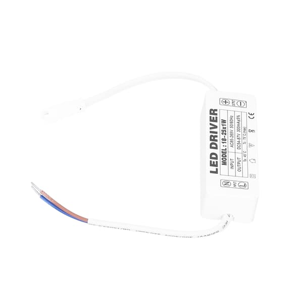 18-25X1W LED Driver Constant Current 300mA Input AC85-265V Output 54-87VDC LED Driver Transformer