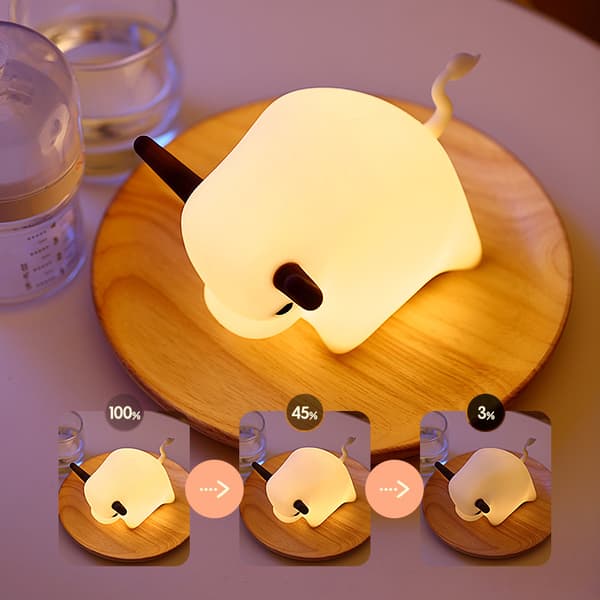 Natlampe sengelampe USB pat silikonlampe (ko ko)