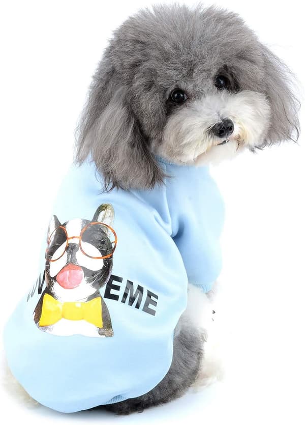 Tøj til små hunde Vinterfrakke Pullover Sweatshirt Bomuldsplade