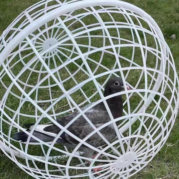 Portable Rolling Round Cage for Poultry, Chicks, Ducks, and Small Pets, Rabbit Cage with Mobility and Breathable Design, Red 30cm Red 30cm