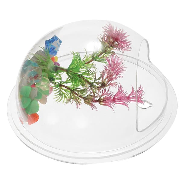 Transparent Hydroponic Vase Wall Mounted Aquarium Decorative Wall Planter Home Accessories (Random Style)