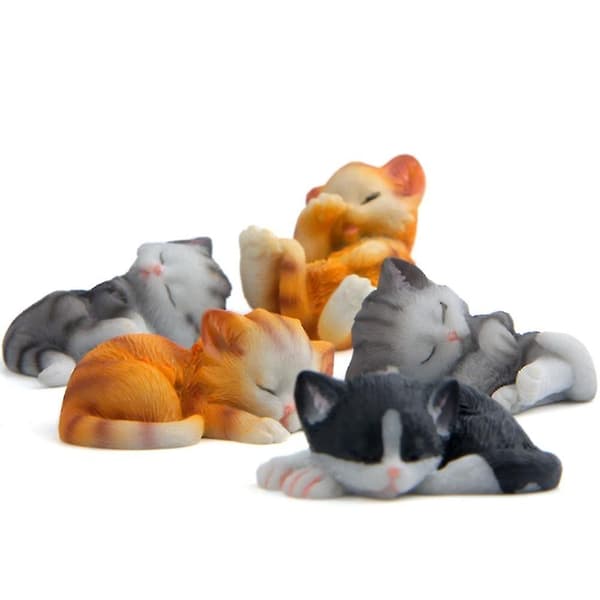 5-pack Kylskåpsmagneter Roliga Kylskåpsmagneter Katt Kylskåpsmagneter Kylskåpsmagneter Kylskåpsmagneter