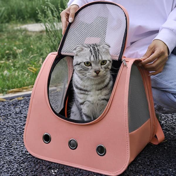 rygsæk til katte, kæledyr pink - Rosa