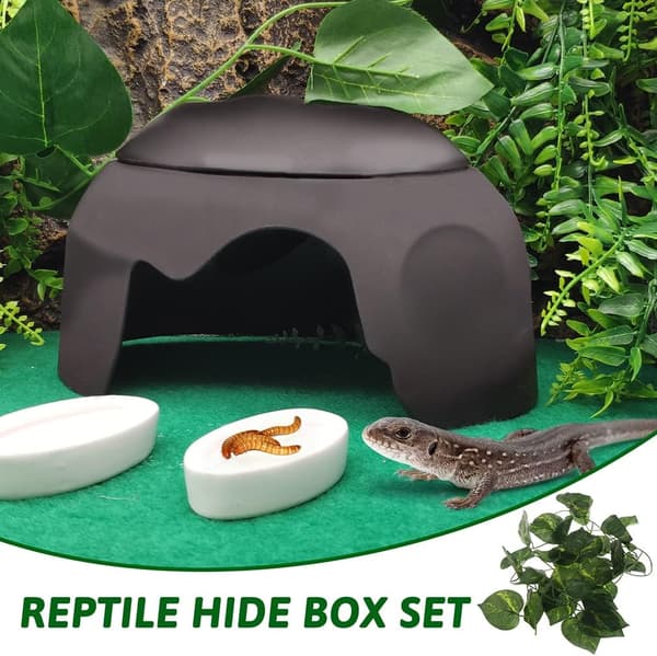 Reptile Hideout with Humidity Container for Gecko, Cave Design, Lizards