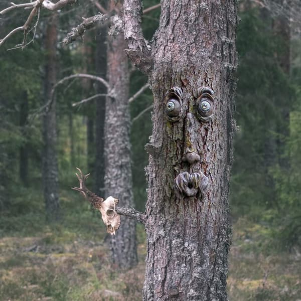 Puutarhapatsaat Veistos Puun Kasvot Runko Ulkokoristelu