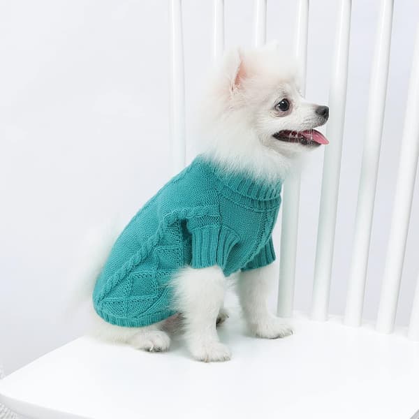 Hundegenser Varm Valpeklær Kattegenser (X-Small, Grønn)