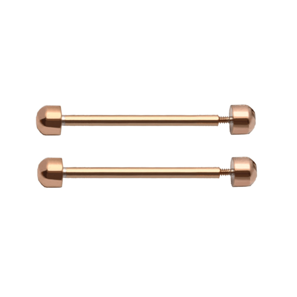 1 Par Klockbandsskruvar för Smartwatch Armband Spänne Friktionsrör db Roséguld Rose Gold 18mm