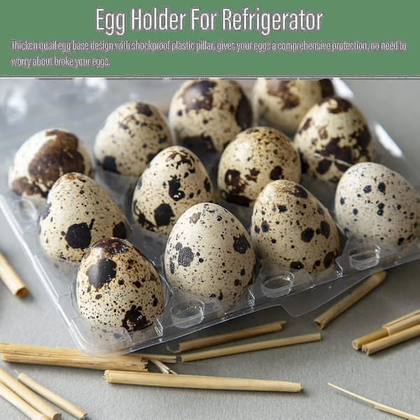 100 Pieces 12-Grid Quail Egg Carton Reusable Quail Egg Box Egg Storage Transparent Fridge Large Box Mini Egg Dispenser with Lid for Refrigerator