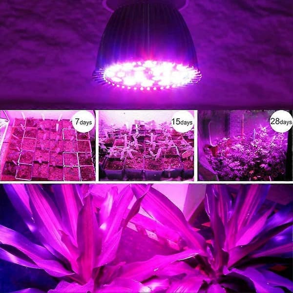 Plantelys, led10w E27 Høyeffekts Fullspektrum LED-panel Drivhus Hydroponisk Plantelys-Yvan
