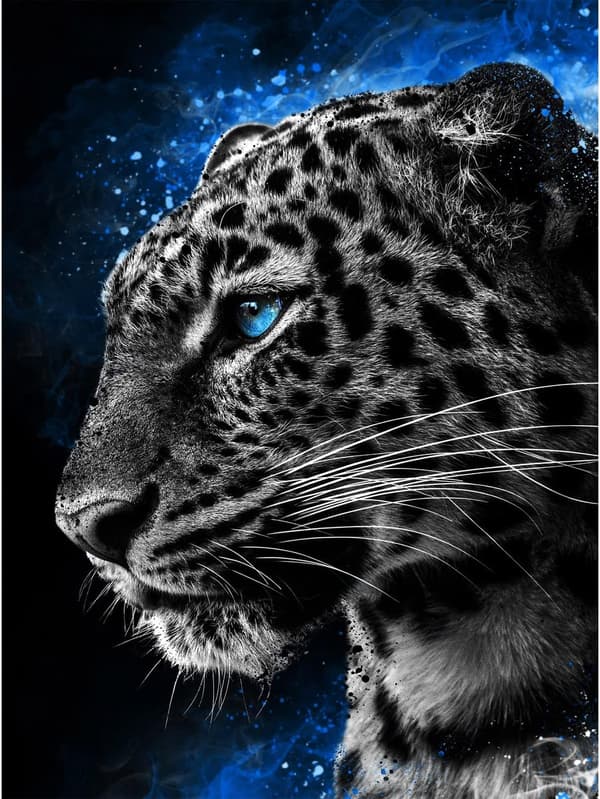 5D diamantmaling-DIY-30x40cm-Mørkeblåøjet tiger