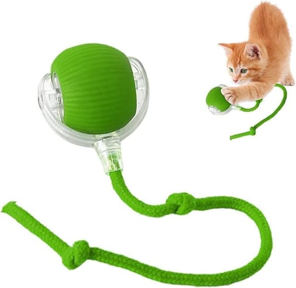 Katte legetøj - Aktiveringsbold / Bold der bevæger sig Legetøjsbold til Kat Grøn Green
