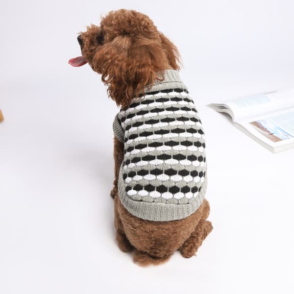 3 nya djurtröjor Nya höst/vinter hundkläder Teddy Boxer tröja