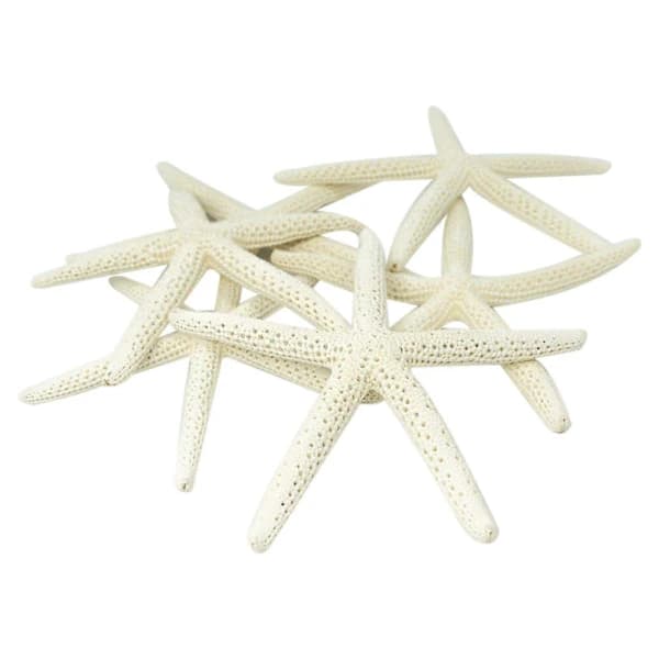 12 stk. hvite fingerstjerner 5-10cm Dekorative femfingrede sjøstjerner