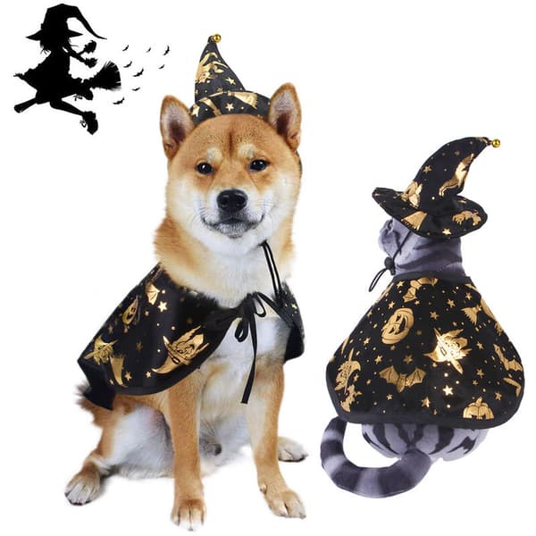 Kæledyr Halloween-kostumer Kappe med troldmandshat Hund Kat Halloween-tøj