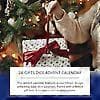 DOWMOO Christmas Calendar Dice Blind Box - 24-Day Countdown Festive and Creative Gift Box