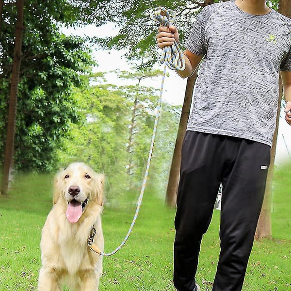 Long Leash for Dog Training, 15ft Dog Leash, Pet Recall Outdoor Training Line C