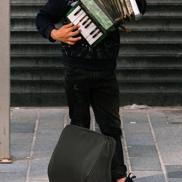 Børne-harmonika-beholder, bas-harmonika-taske, praktisk harmonika-taske, harmonika-opbevaringspose, harmonika-blød taske