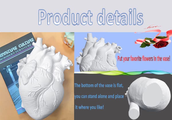 Anatomical Heart Vase Creative Resin Art Home Decor (White) white white