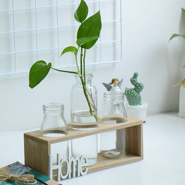 Liten Frisk Transparent Glas Vas Hydroponisk Grön Växt Behållare Sovrum Kontor Bord Dekoration Prydnader