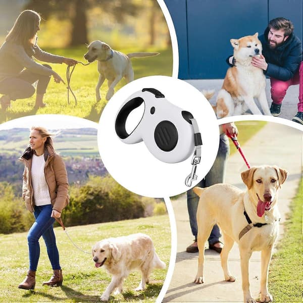 Infällbart hundkoppel 4,8 m Automatiskt elastiskt valpkoppel justerbart för trädgård eller resor, smidig förvaring
