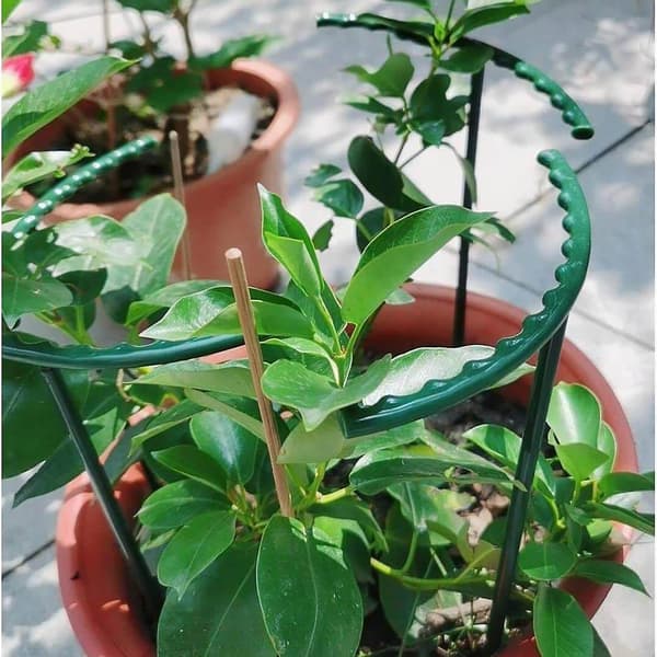 4x Plantestøtte til potteplanter