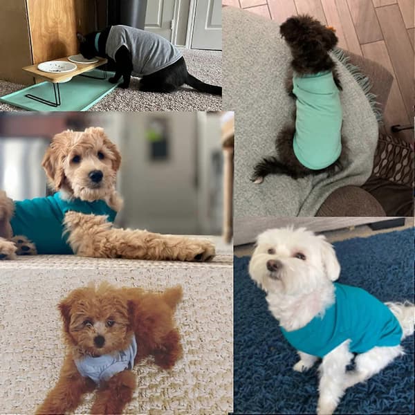 Hundetøj i bomuld, ensfarvede hunde-T-shirts, bløde og åndbare bomuldstrøjer velegnede til katte og hvalpe (2 stk.) (Small, Sort + Grå)
