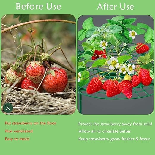Mansikkakehys, 5 kpl sarja - Säädettävä mansikkateline 4 jalalla