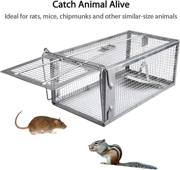 Human Human Trap for Live Mice - Cage Trap for Indoor and Outdoor Use