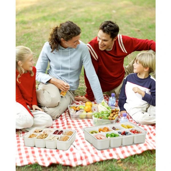 Divided Snack Box with Lid and Handle, Portable 8-Compartment Snack Tray for Storing Fruit, Candy, and Lunch, Transparent