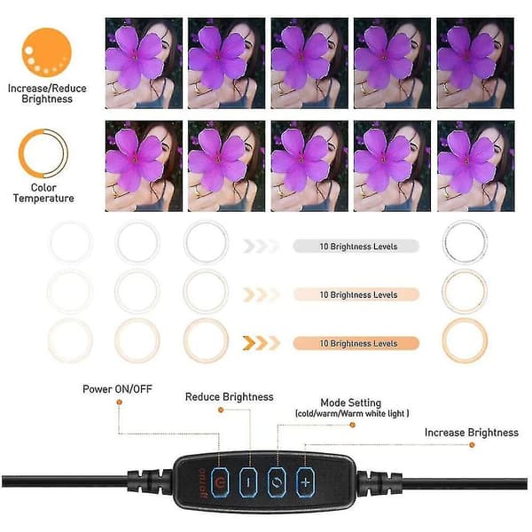LED-ringlys med stativ og telefonholder, dæmpbart skrivebords-ringlys til makeup, video, livestreaming, fotografering, 3 lystilstande