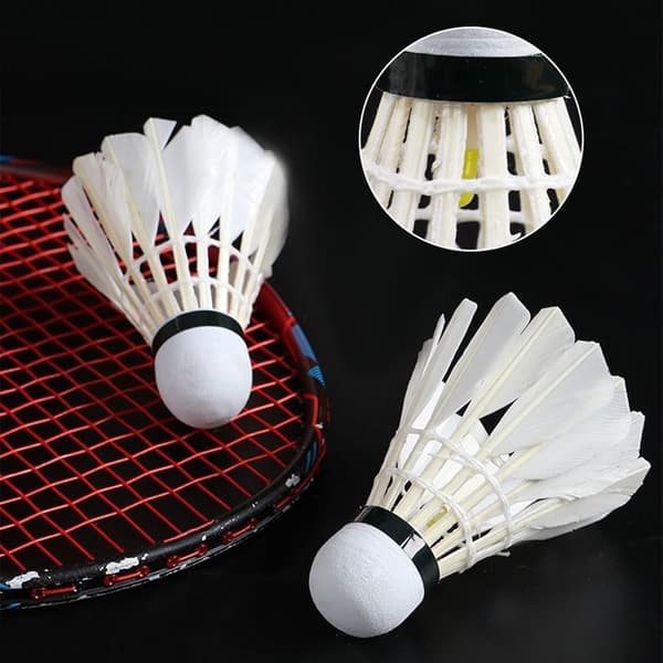 badminton-ratt, LED, upplyst, 4-delad, sportutrustning, för grön 4 delar grün 4 pièces