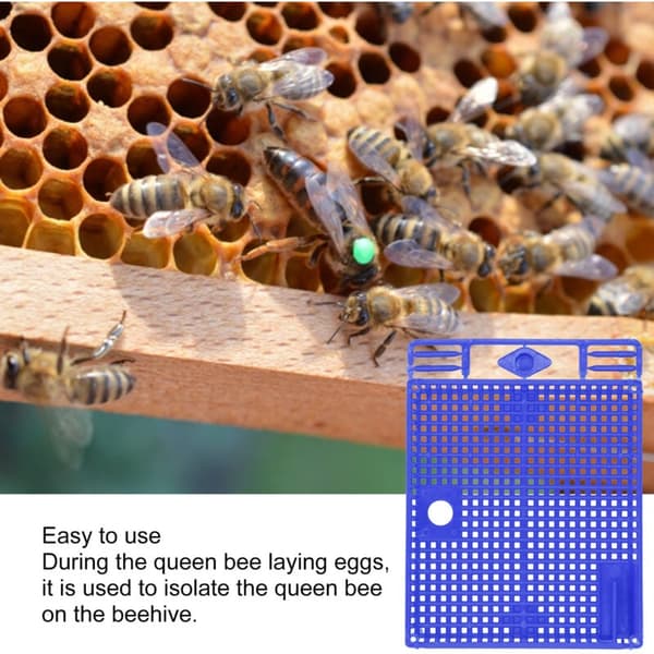 5 Reusable Queen Bee Isolators, Portable Beekeeping Introduction Cage, Blue - Compatible with Beekeeping Tools