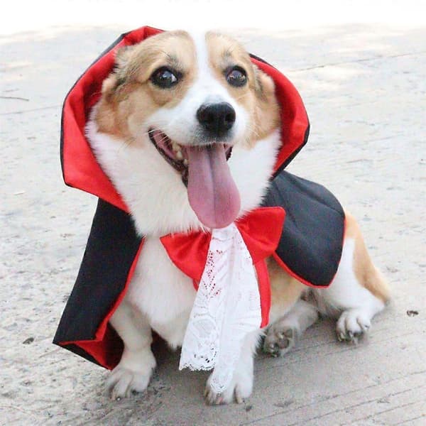 Halloween Kæledyrskappe Kostume Blød Holdbar Kappe til Hunde og Katte Festtøj