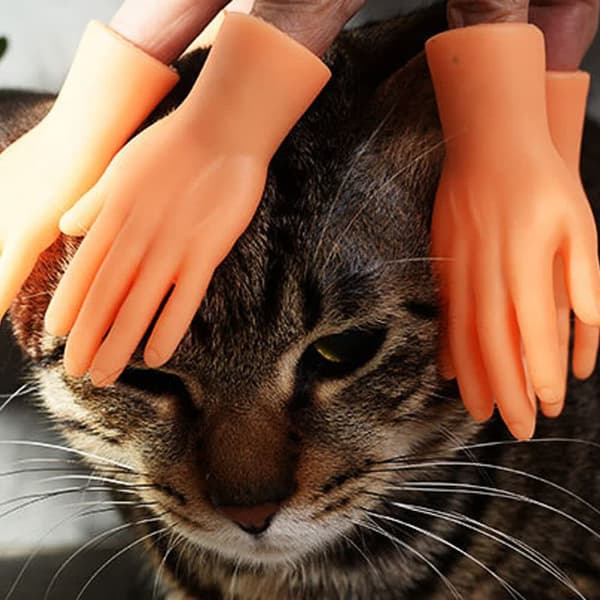 12 interaktive massagekatte-drille-mini kreative gestus små finner