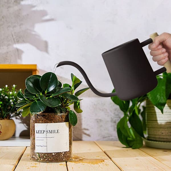 Vandkande til indendørs planter, 35 oz/1000 ml rustfrit stål metal med lang tud til indendørs hvid