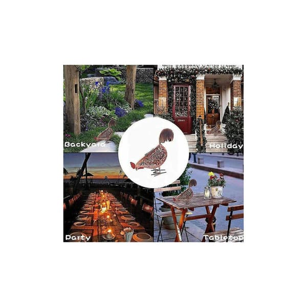Solar Hen - X1-DOPA Solar Lights for Animals Outdoors