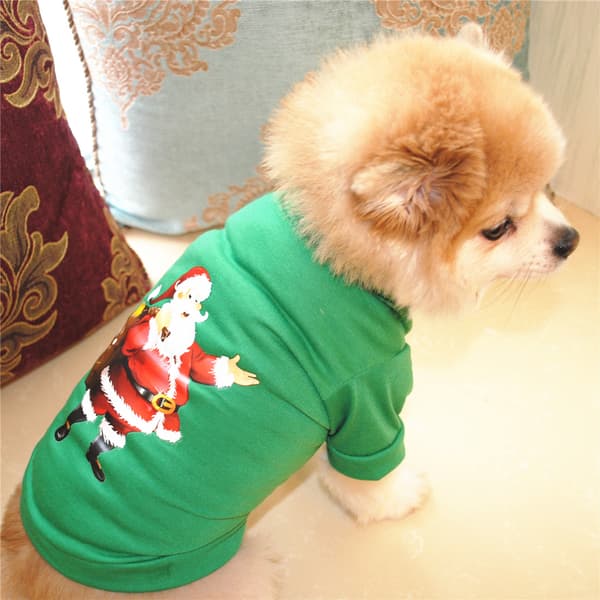 Hundeklær Juleklær Klassisk Bomulls-T-skjorte Teddybjørn B
