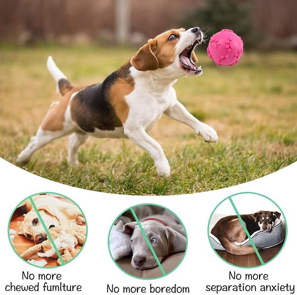 Hundelegetøjsbolde, lydlegetøjsbolde, hundelegetøjsbold til at tygge på, hvalpemolarrensebold, til små og mellemstore hunde (6 cm)