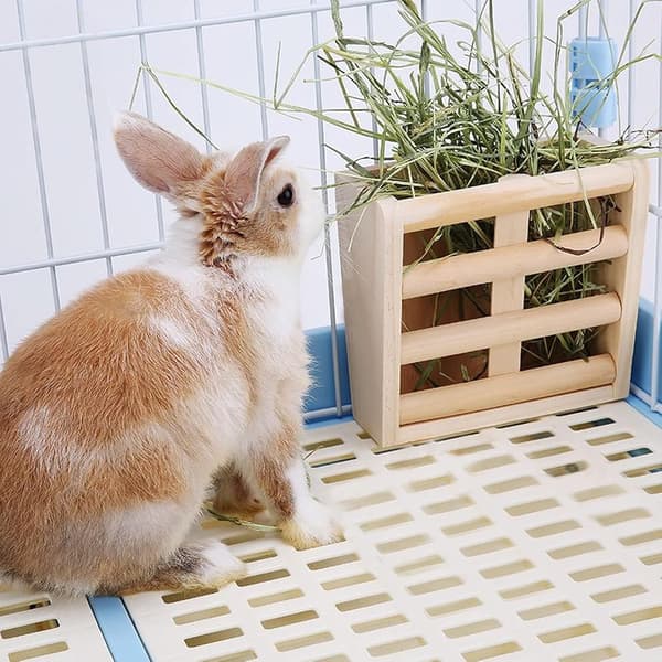 Chinchilla høhæk, kanin høfoderautomat, marsvin høhæk, kaninfoderdispenser, naturligt træ, hamster, kaninburtilbehør