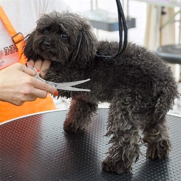 Hundesaks i rustfrit stål, skarp 4,5 tommer, professionel hundeplejesaks til katte, hunde og andre kæledyr