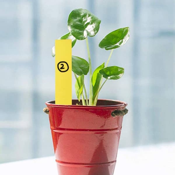 100-pack Plant Marker Labels, Yellow