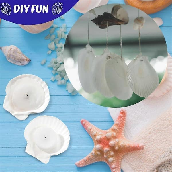 100 Pcs Seashells for Crafts Natural Large Scallop Shells White Oyster Shells Bulk for Decorating DIY Home Beach